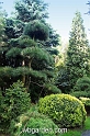 wbgarden spring 21